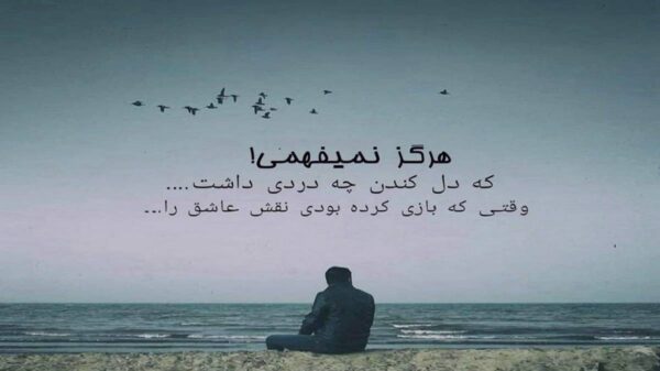  تو شادی را بیاور در شب یلدای غمگینم